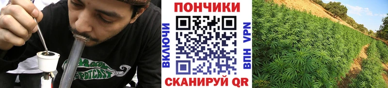 Виды наркотиков купить Межгорье hydra ONION Кокаин Псилоцибиновые грибы Каннабис МЕФ ГАШИШ Метамфетамин НБОМе
