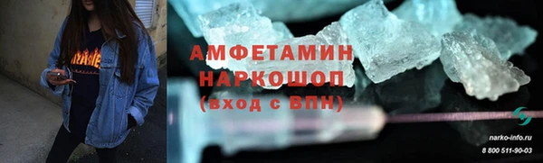 гашик Алексин