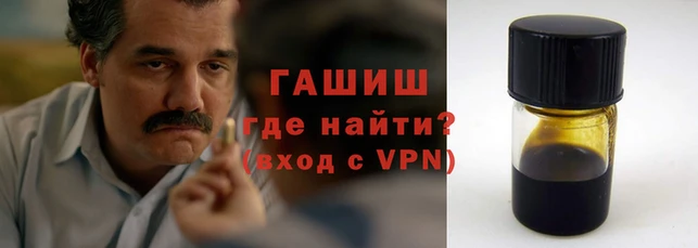 гашик Алексин