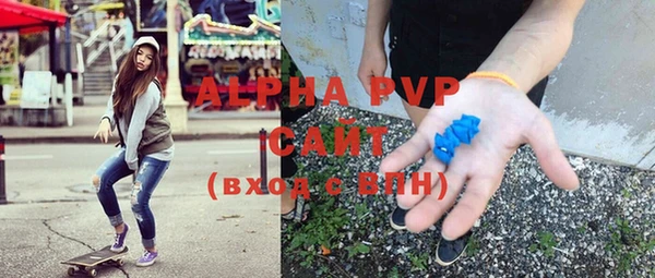 гашик Алексин