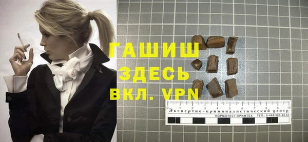 гашик Алексин