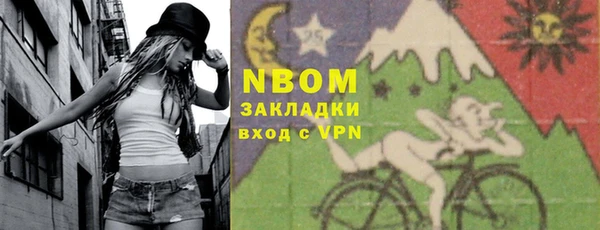 гашик Алексин